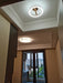 Round Low Profile Ceiling Light-DWHOME