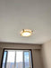 Round Low Profile Ceiling Light-DWHOME