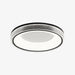 Round Shape Flush Ceiling Light-DWHOME