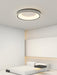 Round Shape Flush Ceiling Light-DWHOME