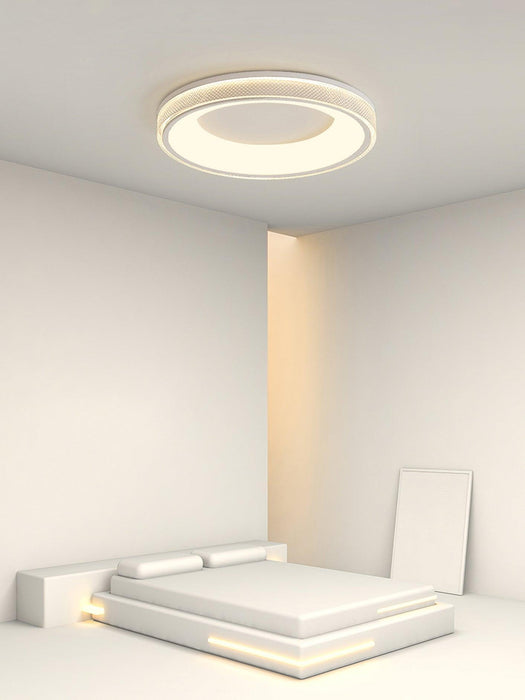 Round Shape Flush Ceiling Light-DWHOME