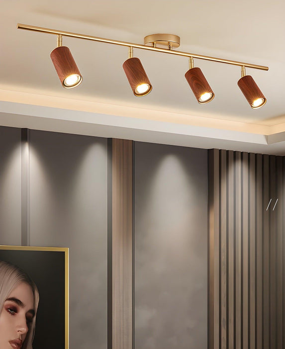 Rowan Ceiling Light-DWHOME