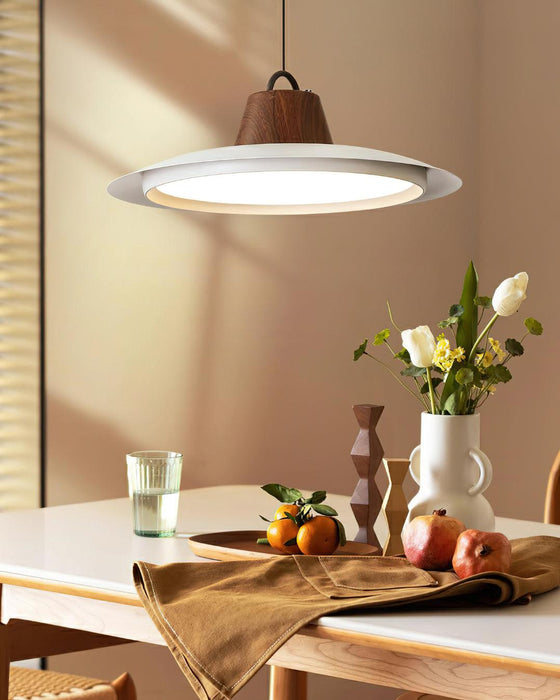 Ruile Pendant Lamp-DWHOME