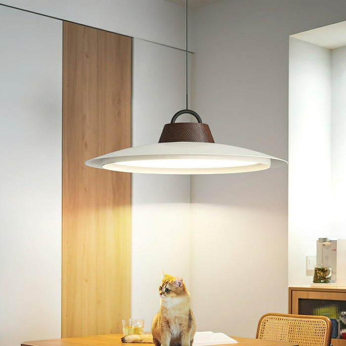 Ruile Pendant Lamp-DWHOME