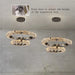 Bacci Ring Modern Chandelier-DWHOME