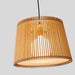 Samantha Pendant Lamp-DWHOME