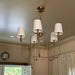 Sanibel Chandelier-DWHOME
