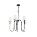 Sanibel Chandelier-DWHOME