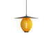 Satellite Pendant Lamp-DWHOME