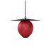 Satellite Pendant Lamp-DWHOME