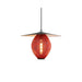 Satellite Pendant Lamp-DWHOME