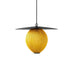 Satellite Pendant Lamp-DWHOME