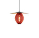 Satellite Pendant Lamp-DWHOME