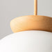 Savie Pendant Lamp-DWHOME