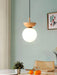 Savie Pendant Lamp-DWHOME