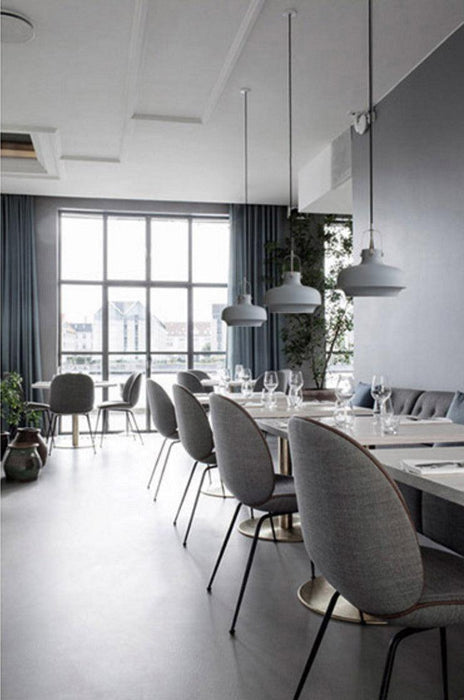 Rainier Contemporary Pendant Light - DWHOME