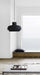 Rainier Contemporary Pendant Light - DWHOME