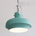 Rainier Contemporary Pendant Light - DWHOME