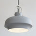 Rainier Contemporary Pendant Light - DWHOME