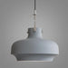 Rainier Contemporary Pendant Light - DWHOME