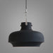 Rainier Contemporary Pendant Light - DWHOME