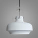 Rainier Contemporary Pendant Light - DWHOME