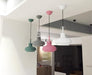 Rainier Contemporary Pendant Light - DWHOME