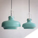 Rainier Contemporary Pendant Light - DWHOME