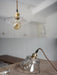 Petunia Glass Mid Century Brass Pendant Light - DWHOME