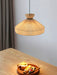 Selene Tide Pendant Lamp-DWHOME