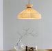 Selene Tide Pendant Lamp-DWHOME