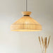 Selene Tide Pendant Lamp-DWHOME