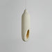 Seltanica Pendant Light-DWHOME