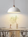 Arc Sphere Pendant Light-DWHOME