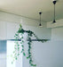 Semi Pendant Light-DWHOME