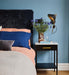 Shear Plug-in Wall Light-DWHOME