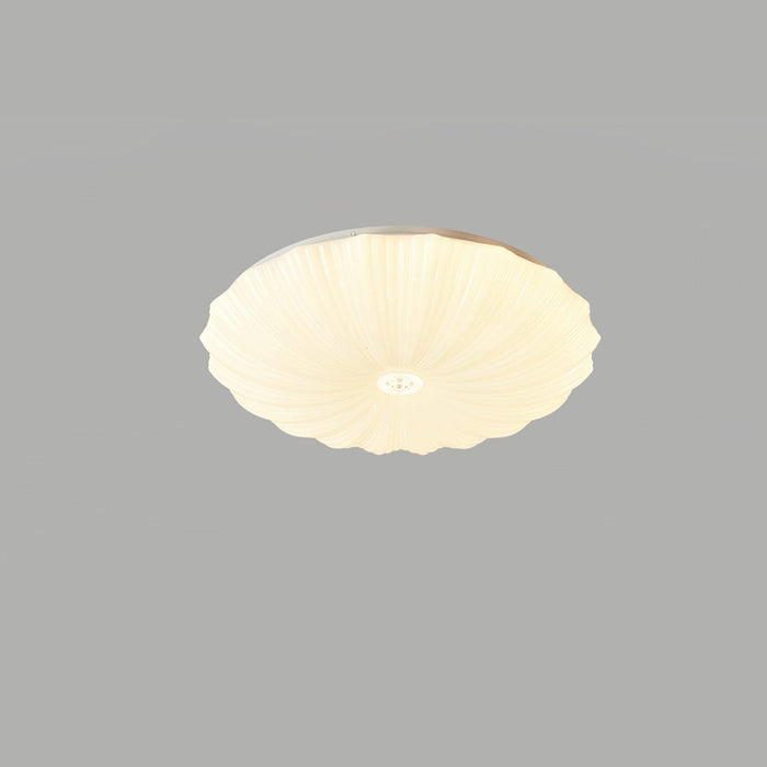Acrylic Shell Round Ceiling Lamp - DWHOME