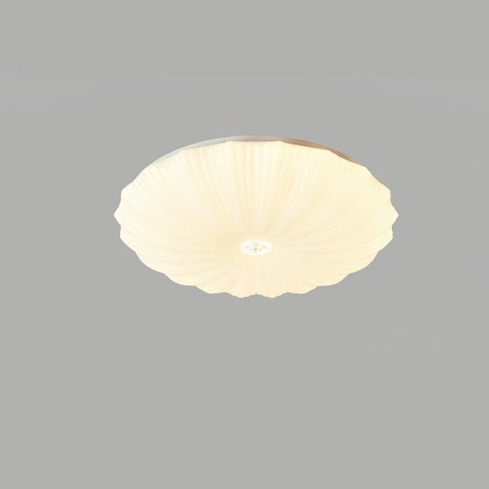 Acrylic Shell Round Ceiling Lamp - DWHOME