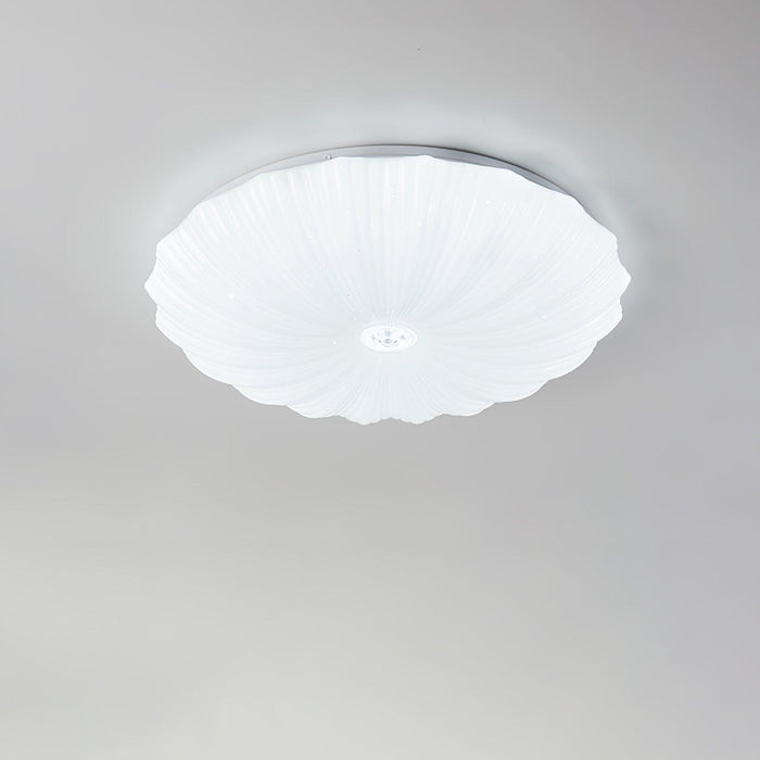 Acrylic Shell Round Ceiling Lamp - DWHOME