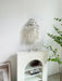 Shell Cascading Wall Light-DWHOME