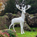 Sherwood Floor Lamp - DWHOME