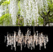 Shiro Noda Crystal Chandelier-DWHOME