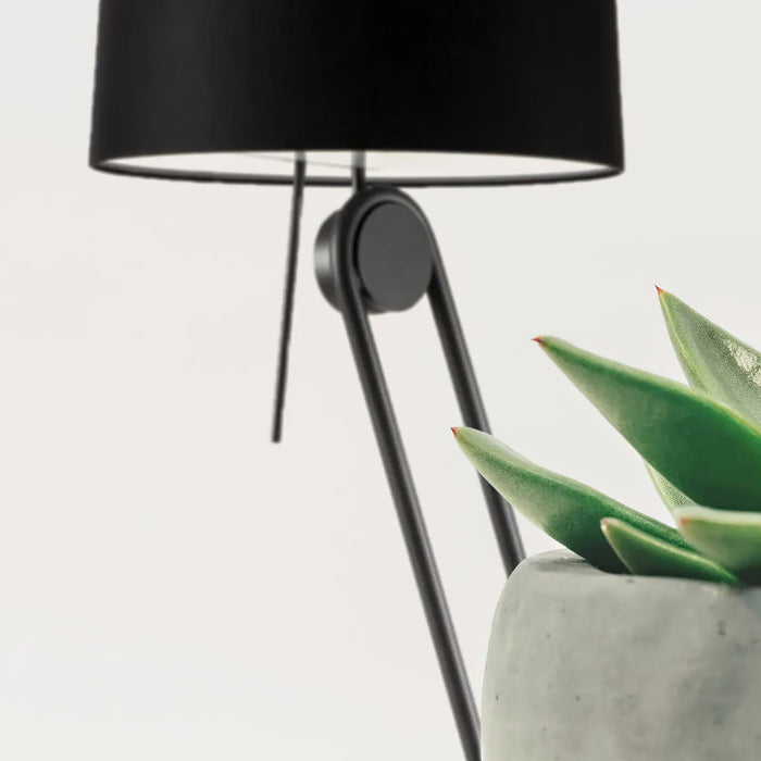 Sibaca Floor Lamp-DWHOME