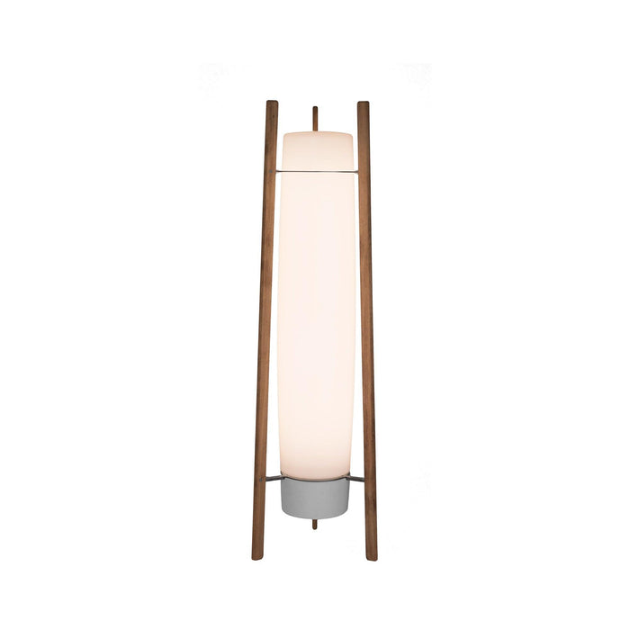 Side LED Floor Lamp-DWHOME