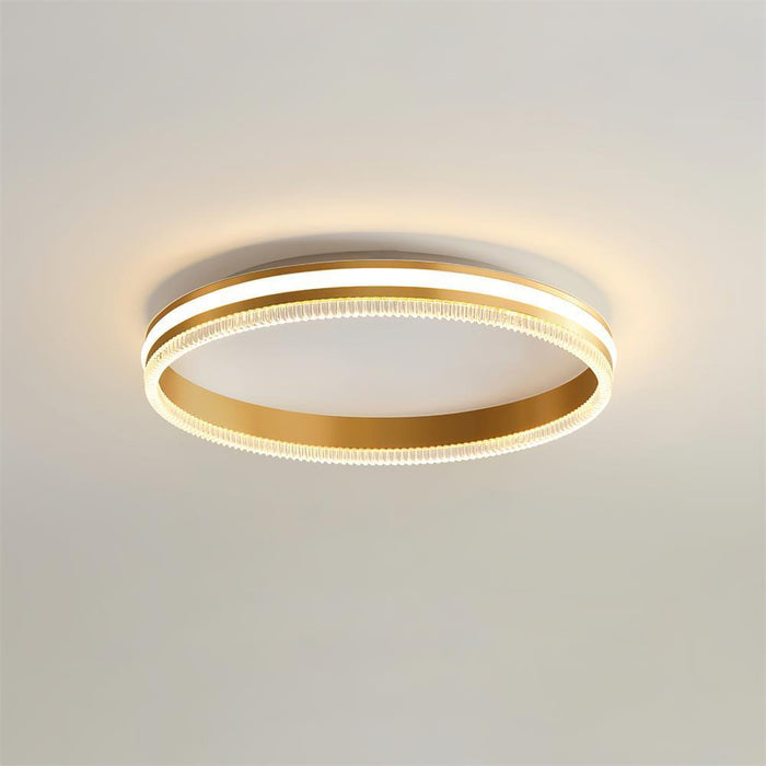 Simple Acrylic Ring Ceiling Light-DWHOME