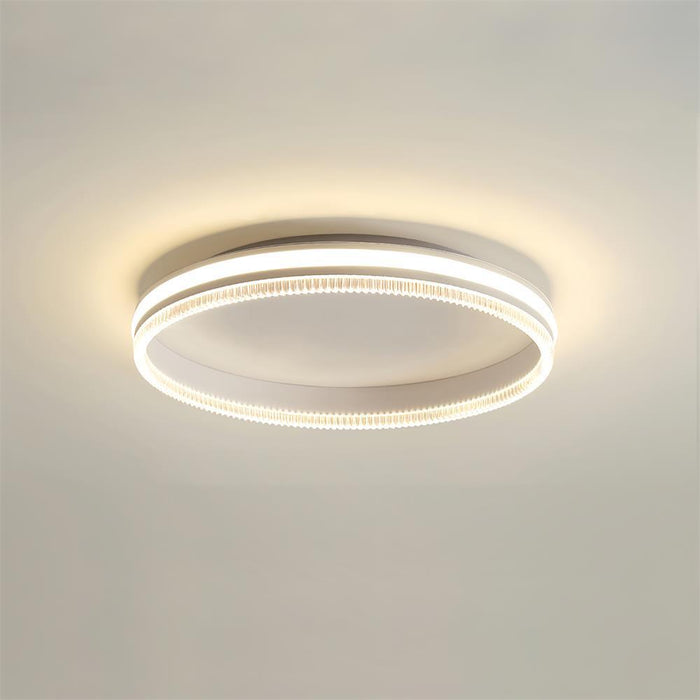 Simple Acrylic Ring Ceiling Light-DWHOME