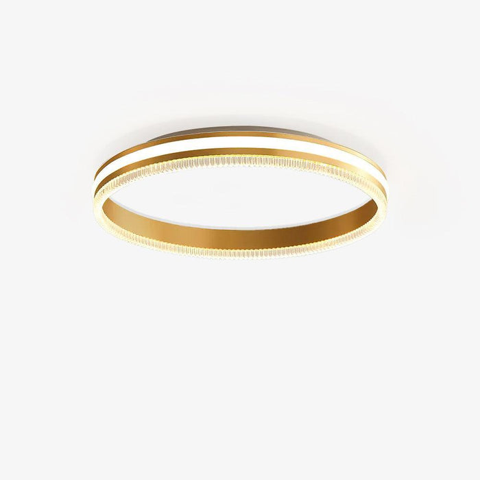 Simple Acrylic Ring Ceiling Light-DWHOME