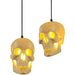 Skull Pendant Light-DWHOME