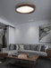 Sky Lake Ceiling Lamp-DWHOME