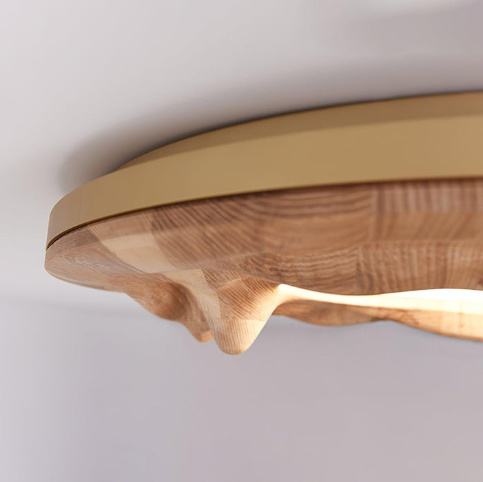 Sky Lake Ceiling Lamp-DWHOME